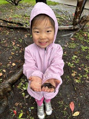 Peninsula Forest and Beach School