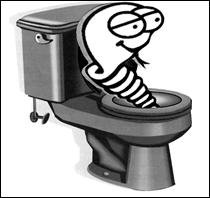 Fast Rooter Plumbing