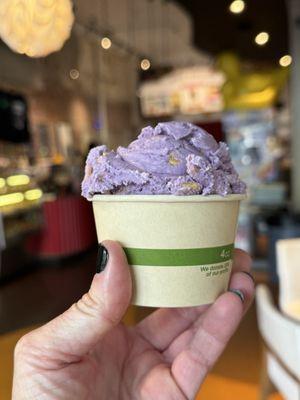 Mallard Ice Cream