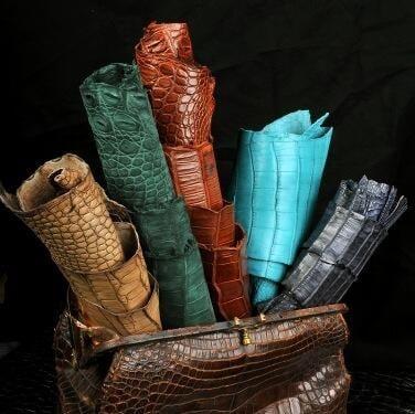 Custom alligator skins