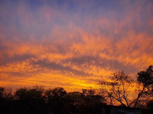Wolfvalley Buildings