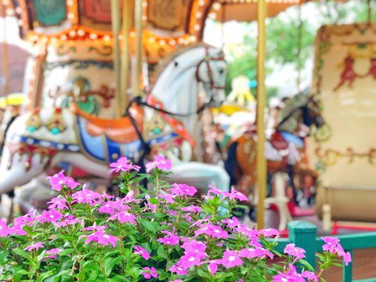 Destinations to Explore