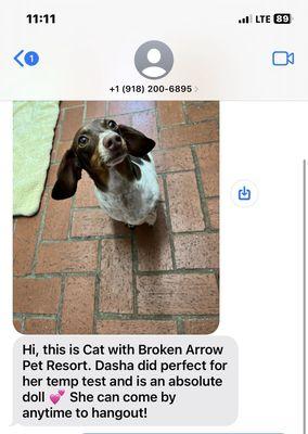 Broken Arrow Pet Resort & Spa