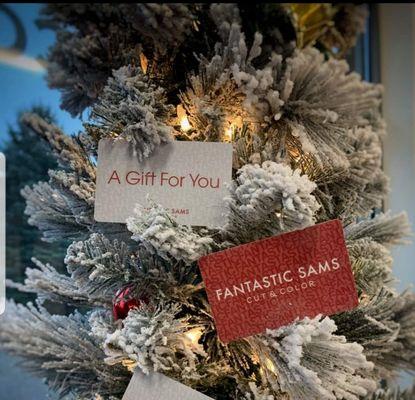 We have the most caring team of stylists in the one salon.
