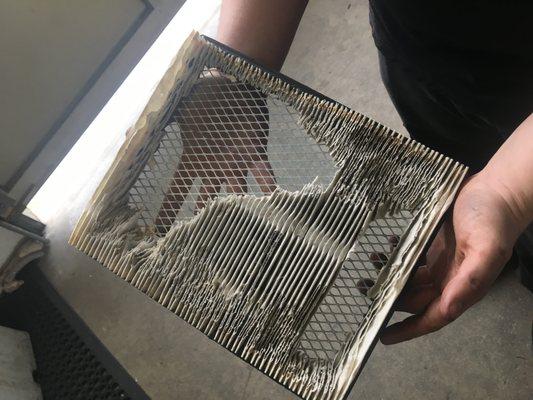 Air Filter found on inspection.
