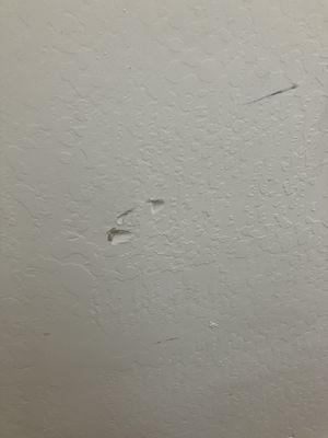 Move Central Movers & Storage