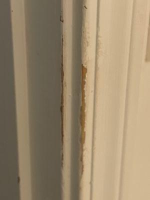 Renew Painting and Renovations