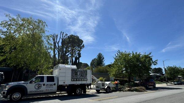 De Rosas Tree Trimming & More