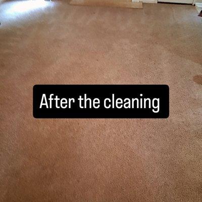 Cleaning is process done