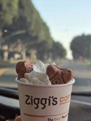 Ziggi's Coffee