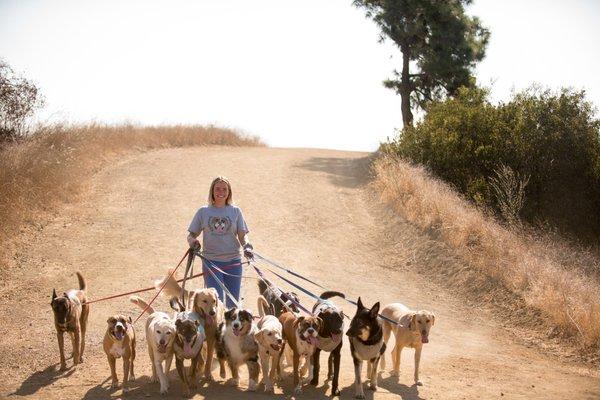 Healthy Hounds Hiking