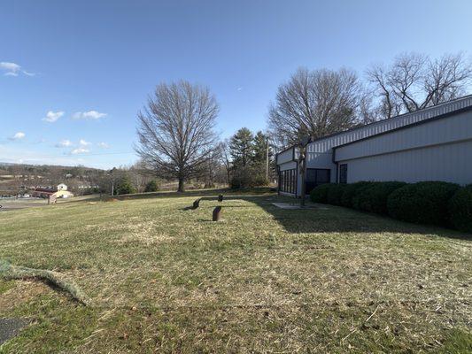 Christ the King Catholic Church