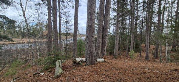 Bigwills Outdoors and Adventures