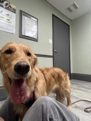 Redwood Animal Hospital