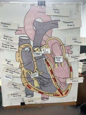 Clinical Skills Training Center