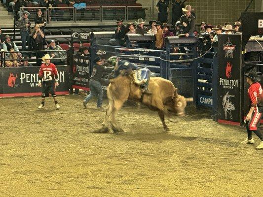 PBR Velocity Tour