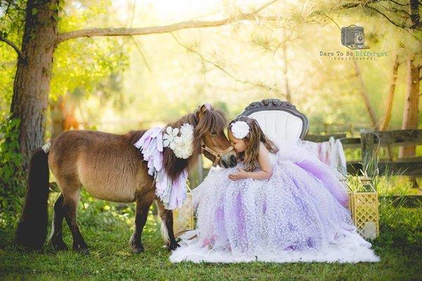 Raisin's Ranch Pony Parties