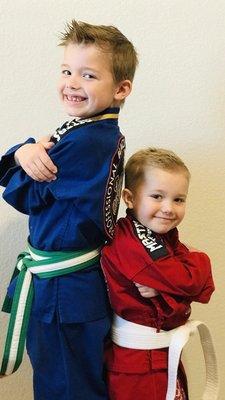 Professional Black Belt Academy