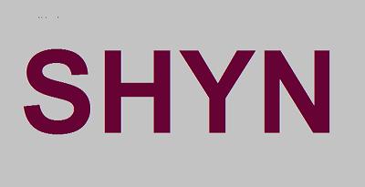 SHYN: Mobile Auto Detailing