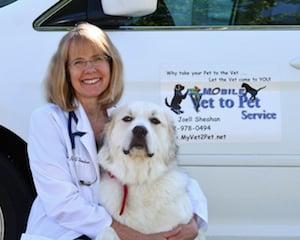 Mobile Vet to Pet Service