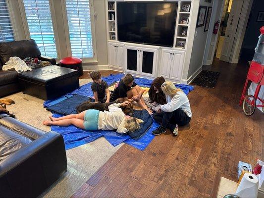 Peaceful Pathways For Pets