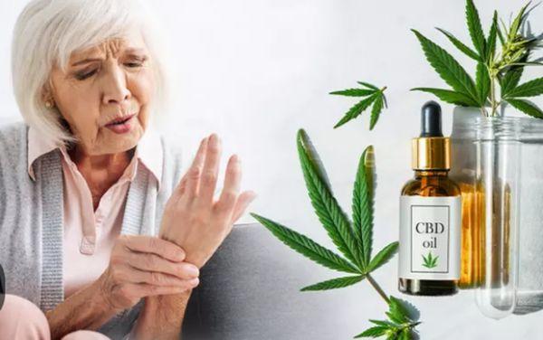 Our CBD Hollidaysburg