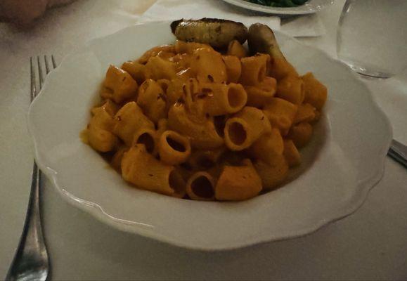 Pasta with spicy vodka sauce