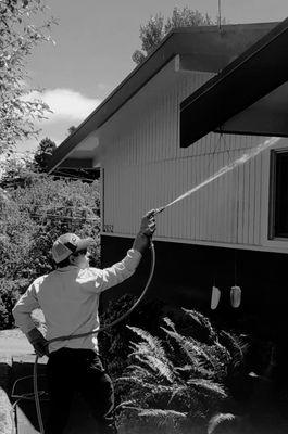 Ecological Pest Management Solutions