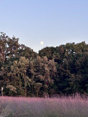 White River Greenway