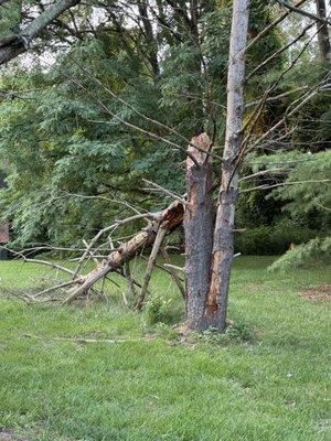 Espinoza Trash Removal