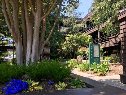 Therapy With Valerie