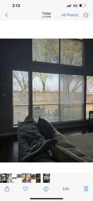 Bloomin' Blinds of Celina