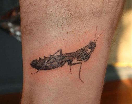 Metamorph Tattoo