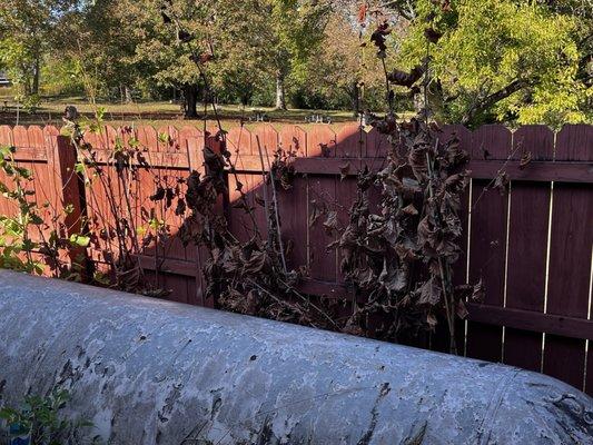 Griggs Nature Preserve