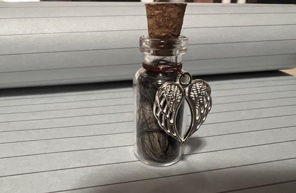 Shakopee Veterinary Clinic