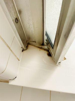 Inside shower door