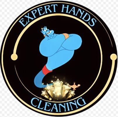 Expert Hands Cleaning