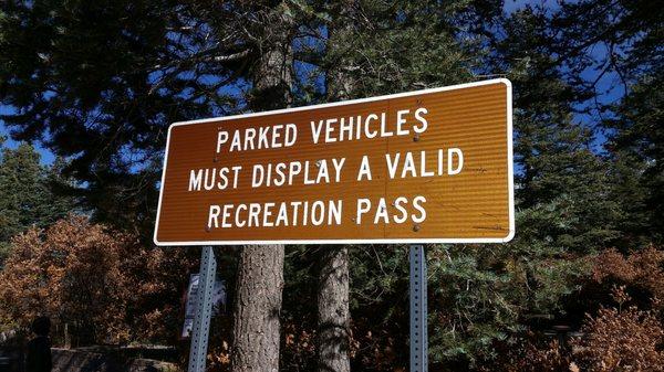 Balsam Glade Picnic Grounds