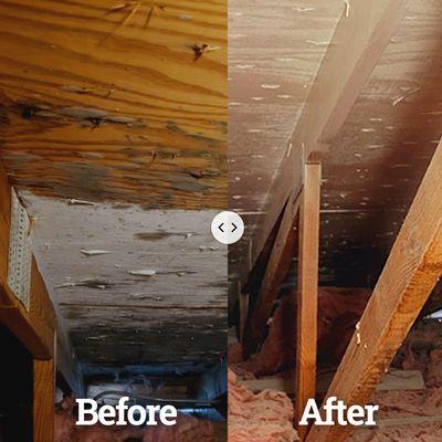 Before and after mold