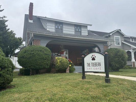 The Toebean Cat Cafe