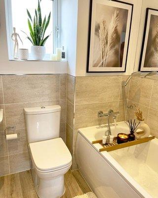 Schiller Woods Plumbing & Drain