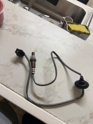 Adrian's Green Gardens