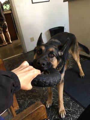 Westside Auto Repair