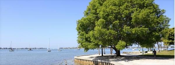 Seawall Construction. We can repair your old seawall or construct a new seawall. We carry a full line of Vinyl Seawall Produc...