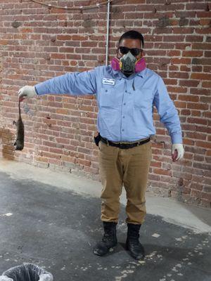 Esmy's Termite Control