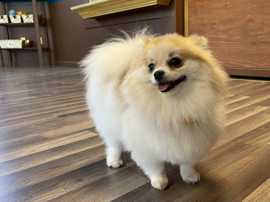 When you know you're the cutest