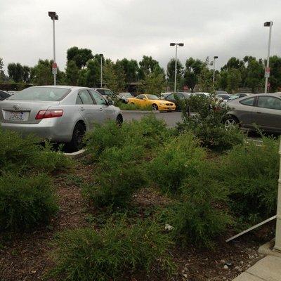 LADOT Commuter Express 549