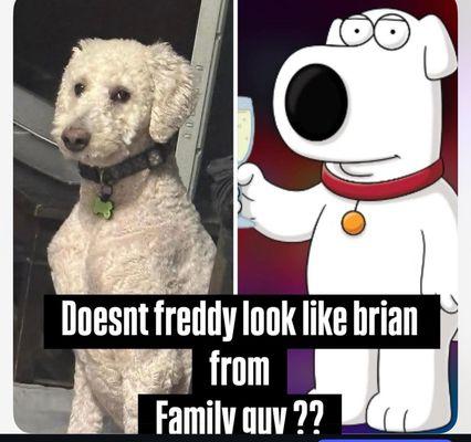 Proud Pet Boutique & Grooming