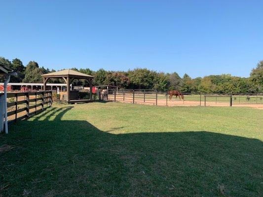 Trinity Forest Stables
