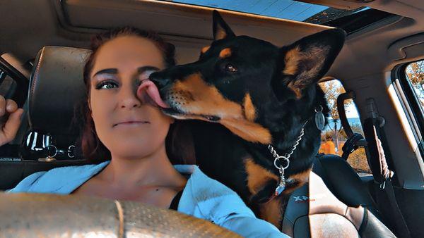 Dog & Cat Repair Rural Animal Clinic